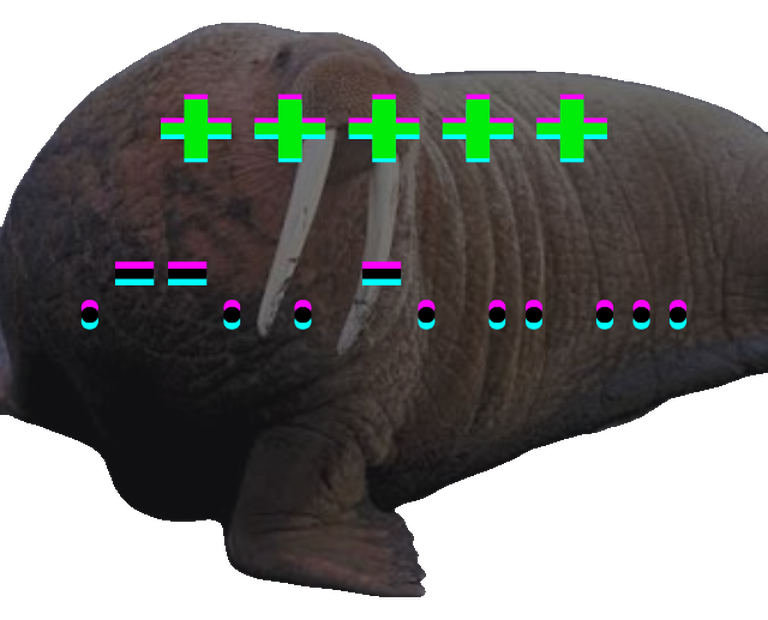 The walrus with its background removed, Morse-code marks across its body.